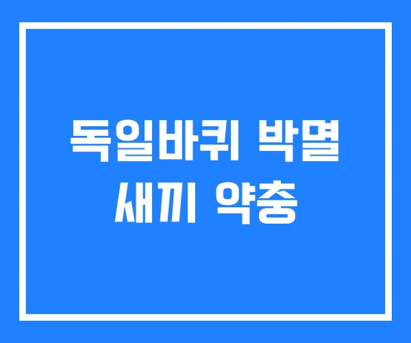 독일바퀴 박멸 새끼 약충 독일바퀴 박멸 새끼 약충