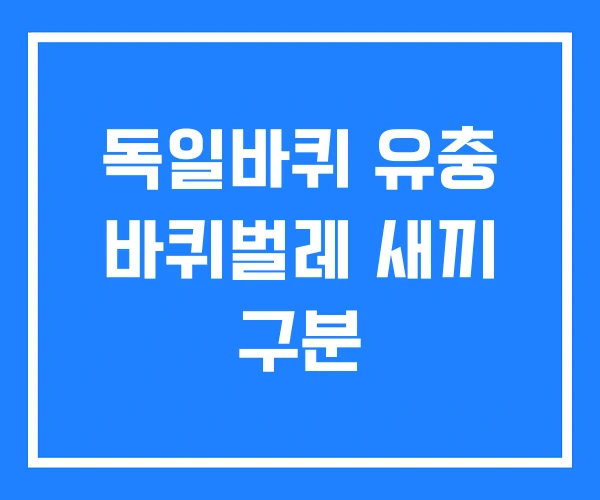 독일바퀴 유충 바퀴벌레 새끼 구분
