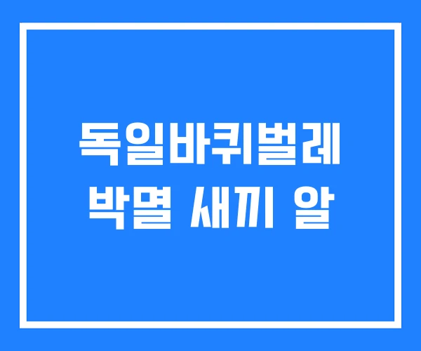 독일바퀴벌레 박멸 새끼 알