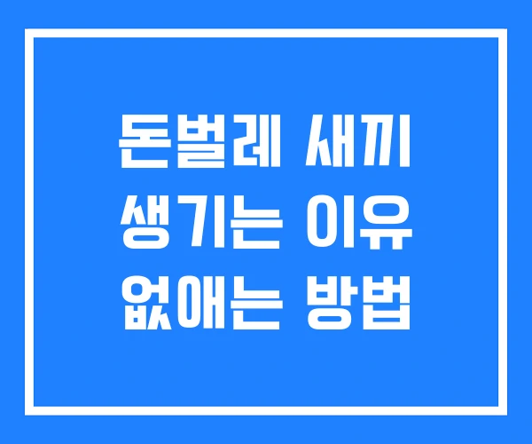 돈벌레 새끼 생기는 이유 없애는 방법