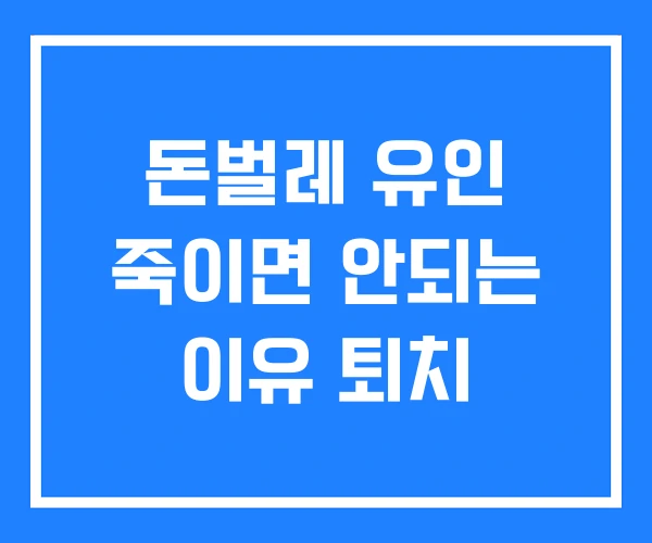 돈벌레 유인 죽이면 안되는 이유 퇴치