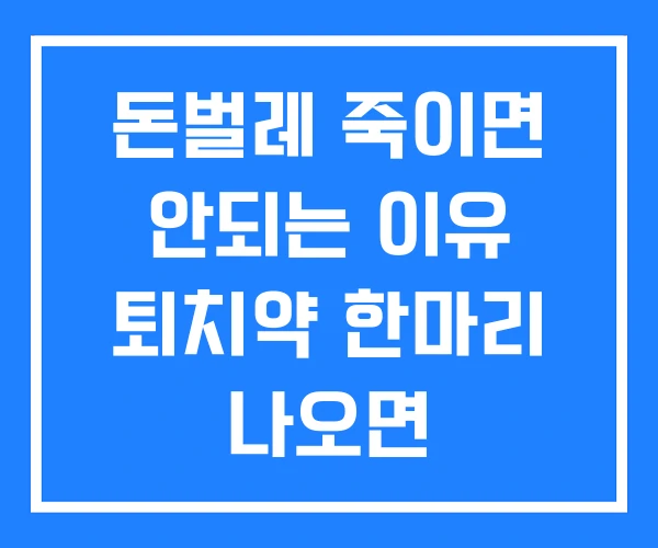 돈벌레 죽이면 안되는 이유 퇴치약 한마리 나오면
