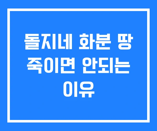 돌지네 화분 땅 죽이면 안되는 이유 돌지네 화분 땅 죽이면 안되는 이유