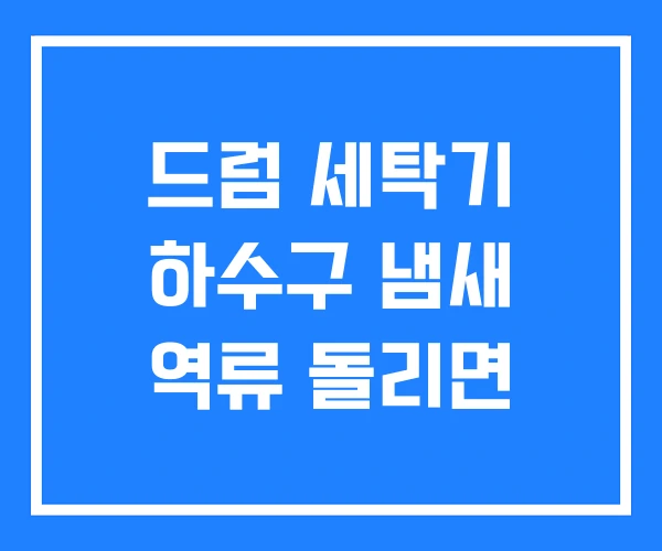 드럼 세탁기 하수구 냄새 역류 돌리면 드럼 세탁기 하수구 냄새 역류 돌리면