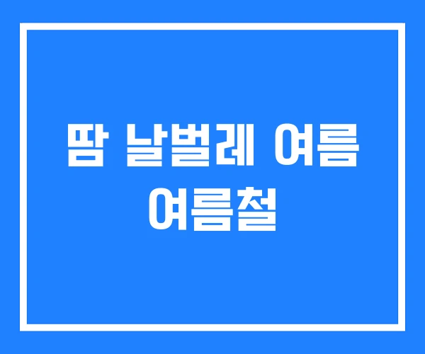 땀 날벌레 여름 여름철
