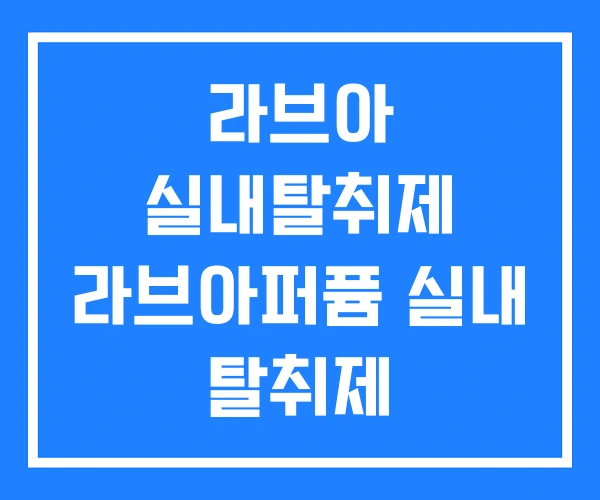 라브아 실내탈취제 라브아퍼퓸 실내 탈취제 라브아 실내탈취제 라브아퍼퓸 실내 탈취제