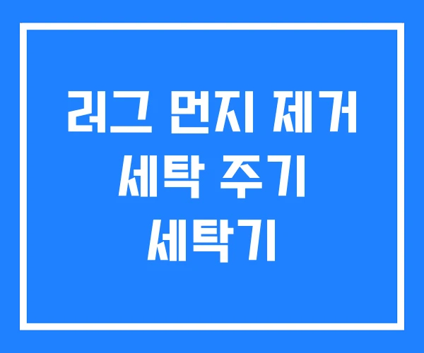 러그 먼지 제거 세탁 주기 세탁기