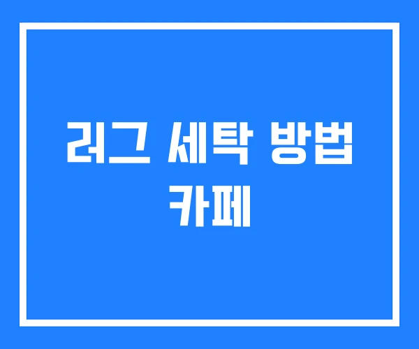 러그 세탁 방법 카페