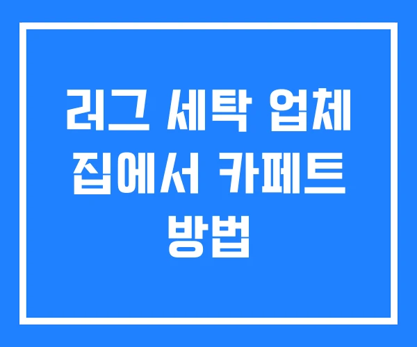 러그 세탁 업체 집에서 카페트 방법