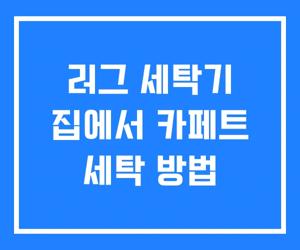 러그 세탁기 집에서 카페트 세탁 방법