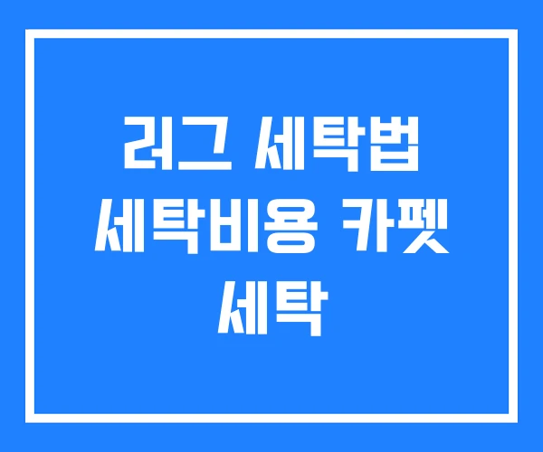 러그 세탁법 세탁비용 카펫 세탁