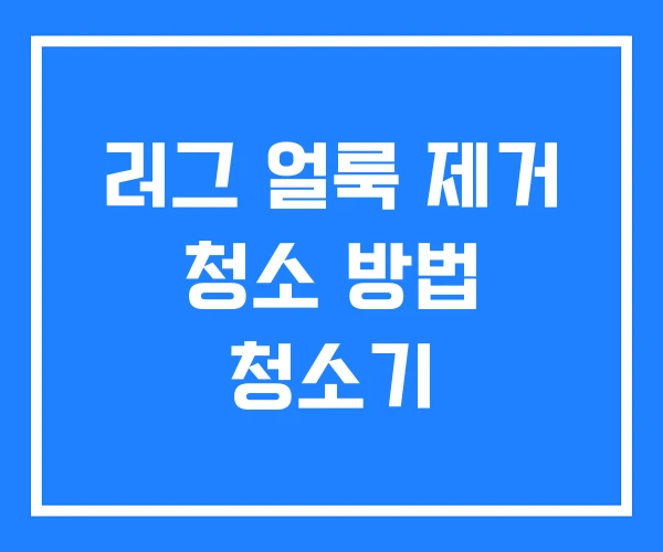 러그 얼룩 제거 청소 방법 청소기