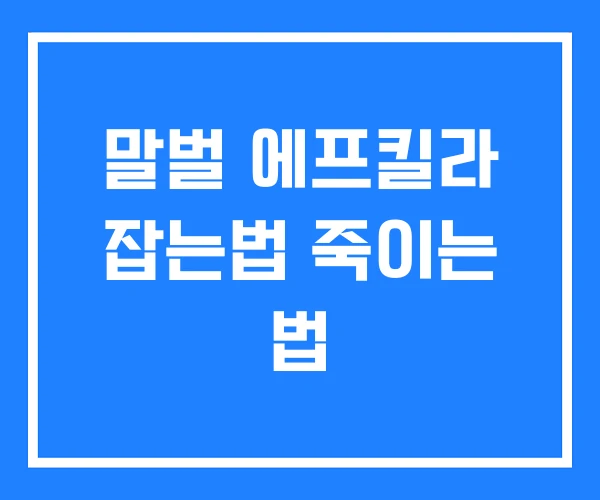 말벌 에프킬라 잡는법 죽이는 법
