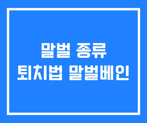 말벌 종류 퇴치법 말벌베인