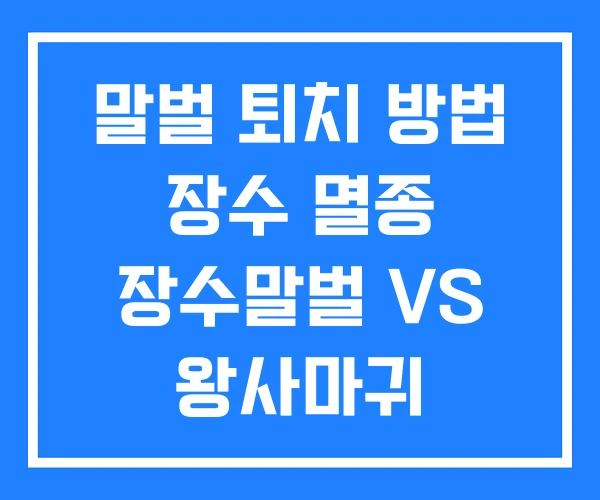 말벌 퇴치 방법 장수 멸종 장수말벌 VS 왕사마귀 말벌 퇴치 방법 장수 멸종 장수말벌 VS 왕사마귀