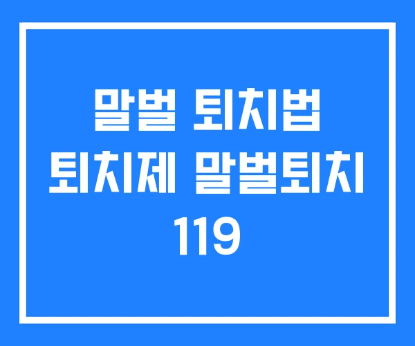 말벌 퇴치법 퇴치제 말벌퇴치 119 말벌 퇴치법 퇴치제 말벌퇴치 119
