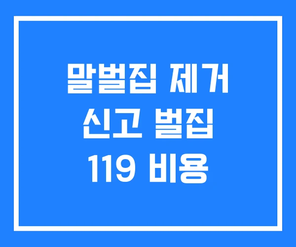 말벌집 제거 신고 벌집 119 비용