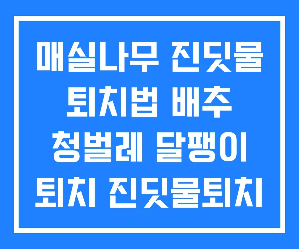 매실나무 진딧물 퇴치법 배추 청벌레 달팽이 퇴치 진딧물퇴치 식초