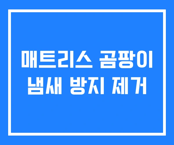 매트리스 곰팡이 냄새 방지 제거