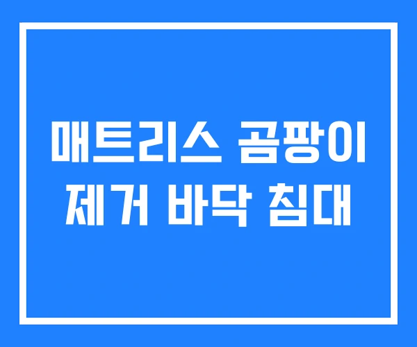 매트리스 곰팡이 제거 바닥 침대 매트리스 곰팡이 제거 바닥 침대