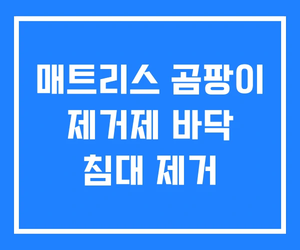 매트리스 곰팡이 제거제 바닥 침대 제거 매트리스 곰팡이 제거제 바닥 침대 제거