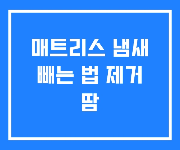 매트리스 냄새 빼는 법 제거 땀