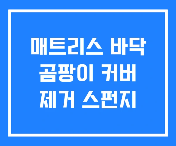 매트리스 바닥 곰팡이 커버 제거 스펀지 매트리스 바닥 곰팡이 커버 제거 스펀지