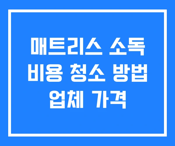 매트리스 소독 비용 청소 방법 업체 가격 매트리스 소독 비용 청소 방법 업체 가격