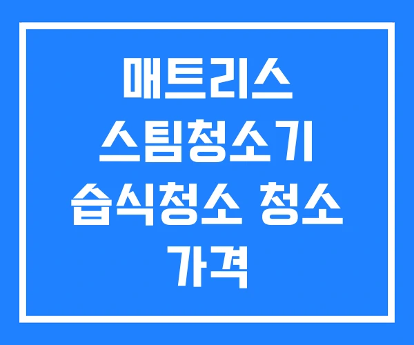 매트리스 스팀청소기 습식청소 청소 가격