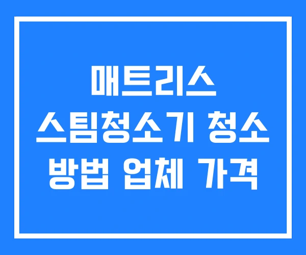매트리스 스팀청소기 청소 방법 업체 가격