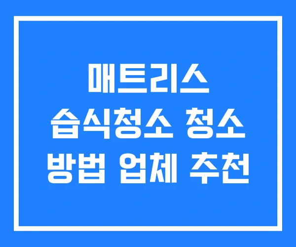 매트리스 습식청소 청소 방법 업체 추천