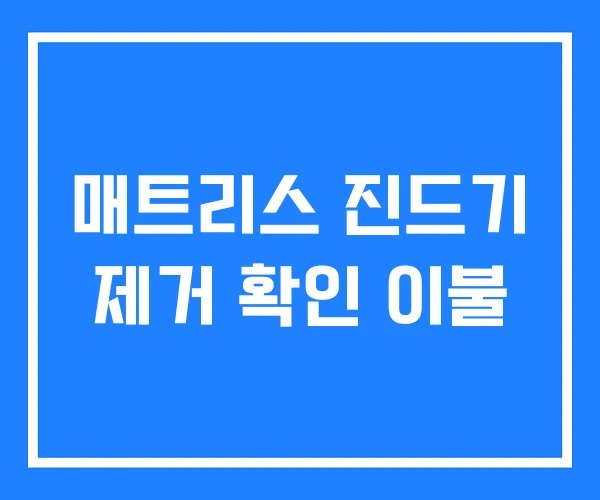 매트리스 진드기 제거 확인 이불