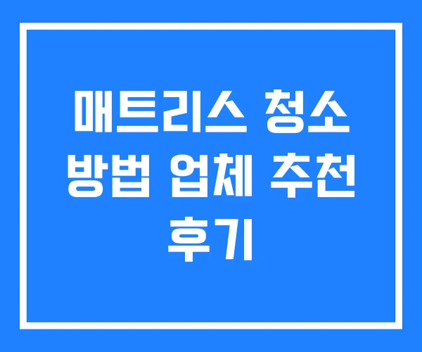 매트리스 청소 방법 업체 추천 후기 매트리스 청소 방법 업체 추천 후기
