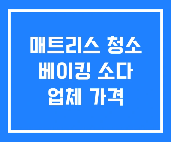 매트리스 청소 베이킹 소다 업체 가격
