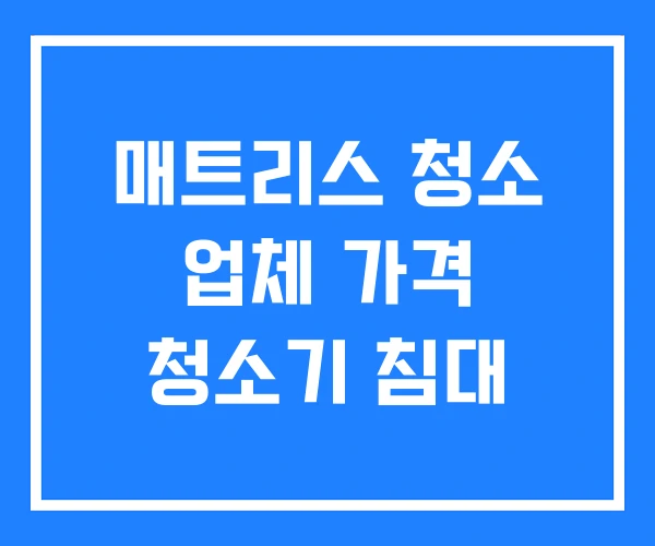 매트리스 청소 업체 가격 청소기 침대 매트리스 청소 업체 가격 청소기 침대
