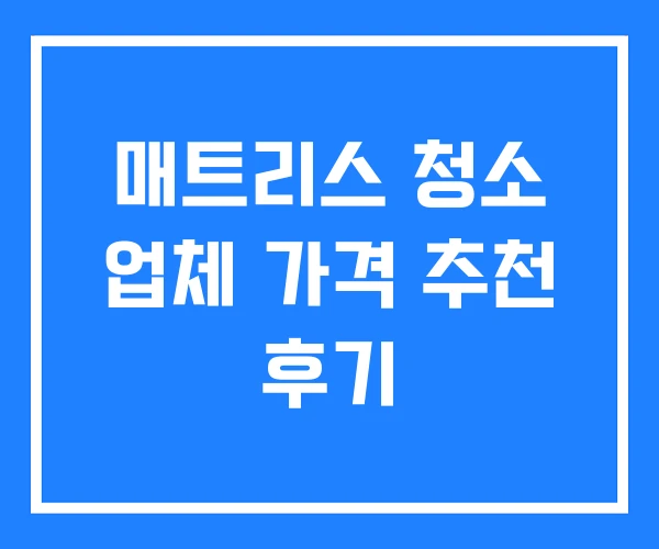 매트리스 청소 업체 가격 추천 후기