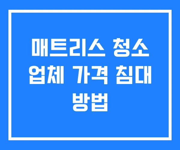 매트리스 청소 업체 가격 침대 방법