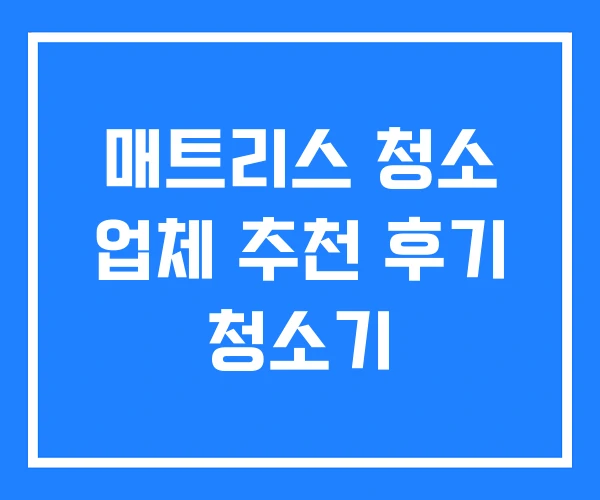 매트리스 청소 업체 추천 후기 청소기