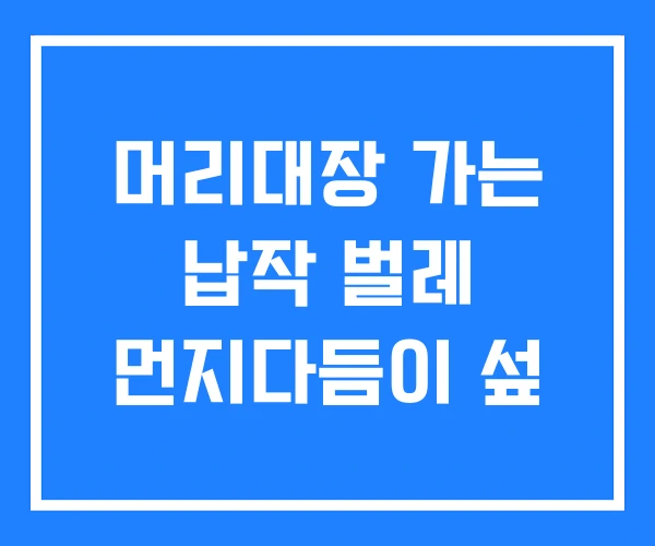 머리대장 가는 납작 벌레 먼지다듬이 섶