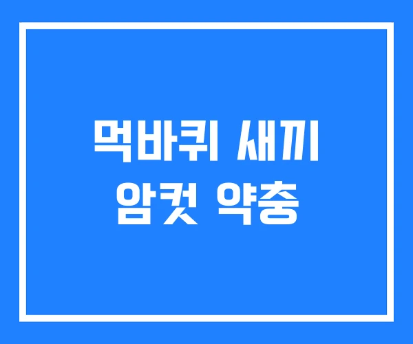 먹바퀴 새끼 암컷 약충