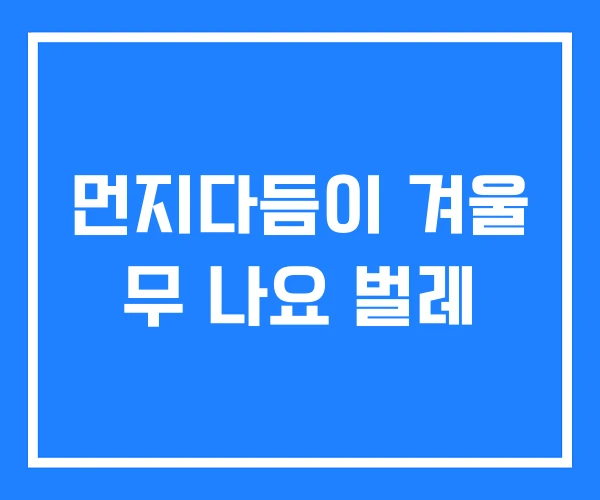 먼지다듬이 겨울 무 나요 벌레 먼지다듬이 겨울 무 나요 벌레