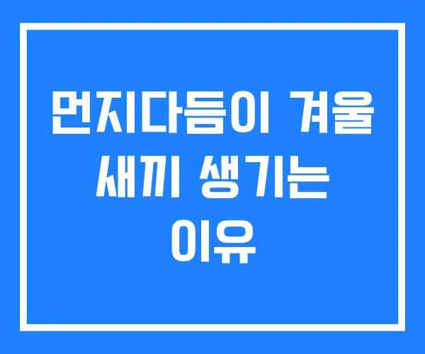 먼지다듬이 겨울 새끼 생기는 이유