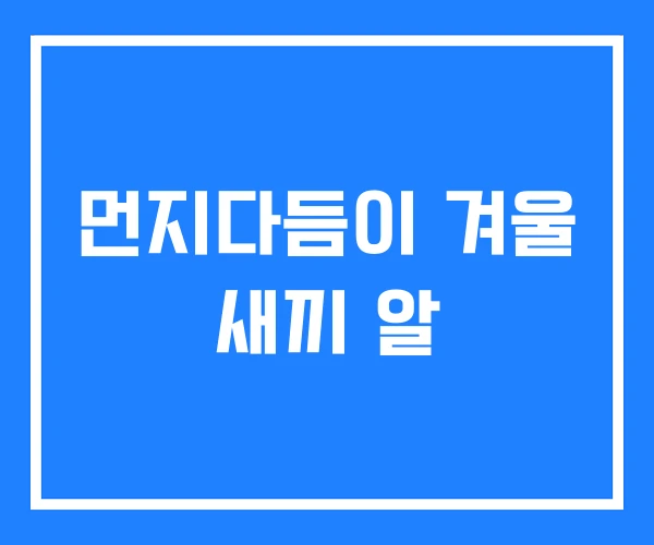 먼지다듬이 겨울 새끼 알