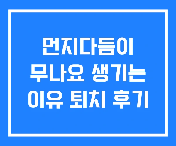 먼지다듬이 무나요 생기는 이유 퇴치 후기