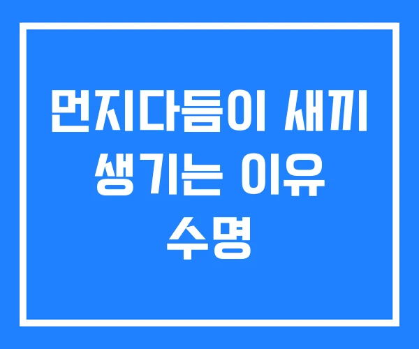먼지다듬이 새끼 생기는 이유 수명