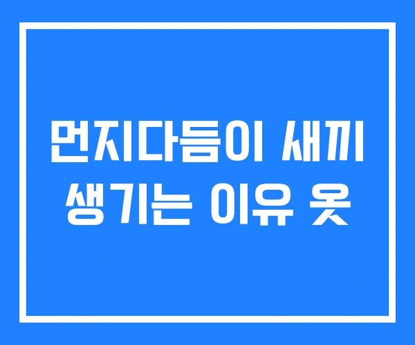 먼지다듬이 새끼 생기는 이유 옷