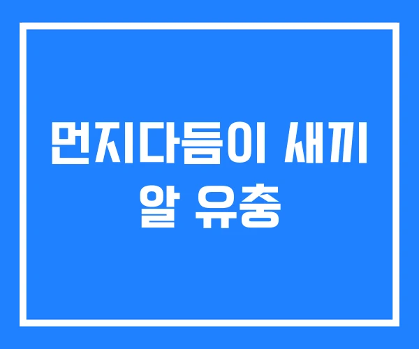 먼지다듬이 새끼 알 유충
