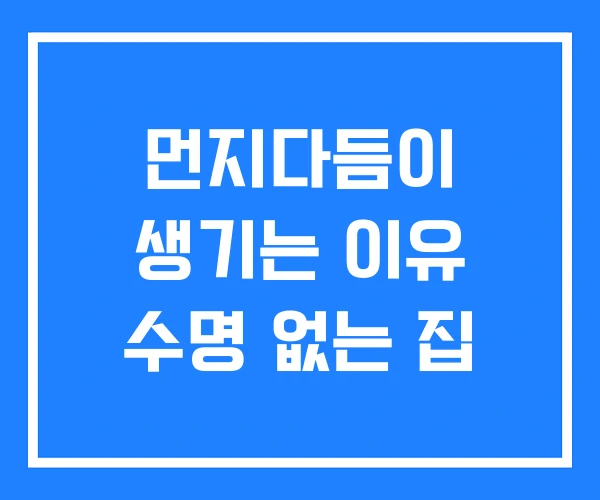 먼지다듬이 생기는 이유 수명 없는 집
