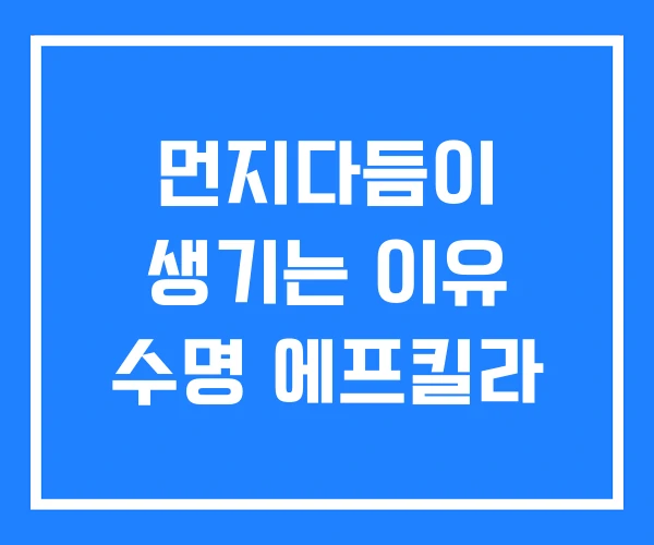 먼지다듬이 생기는 이유 수명 에프킬라