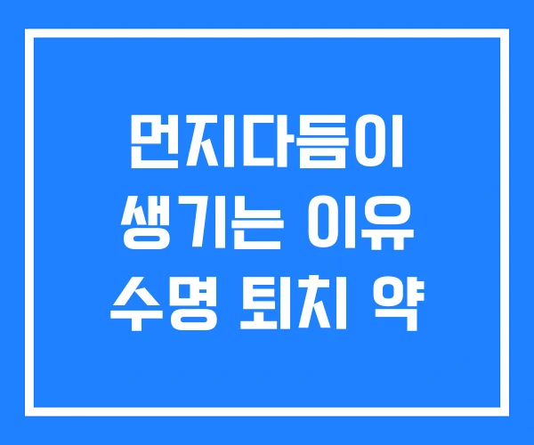 먼지다듬이 생기는 이유 수명 퇴치 약 먼지다듬이 생기는 이유 수명 퇴치 약